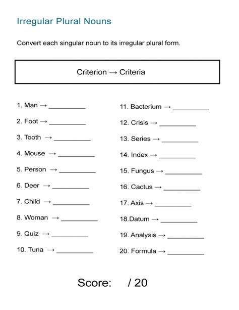 irregular plural nouns worksheet grade 6
